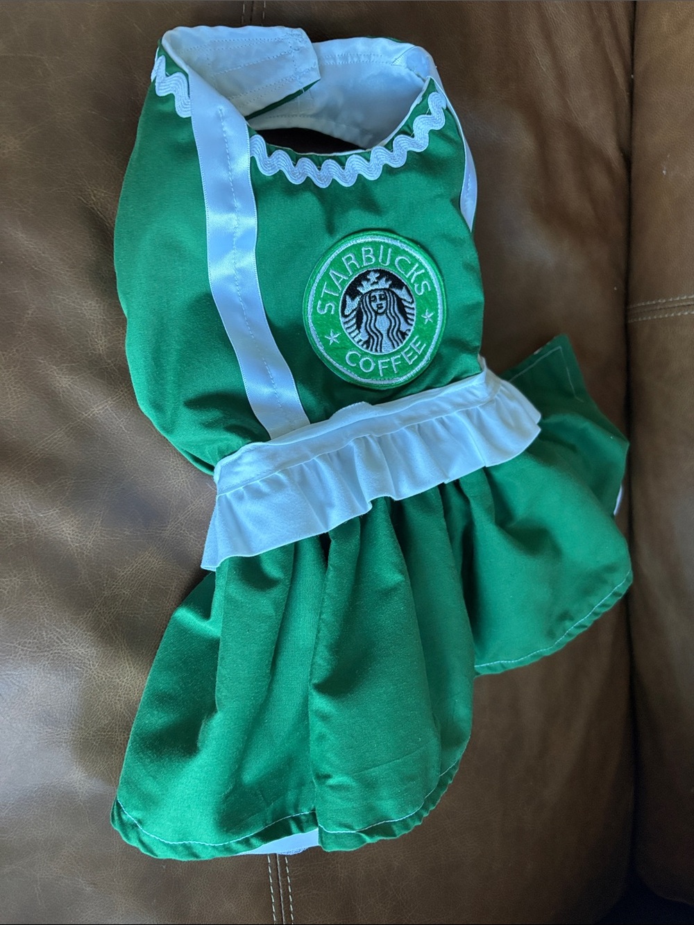Starbucks Coffee handmade dog Halloween costume